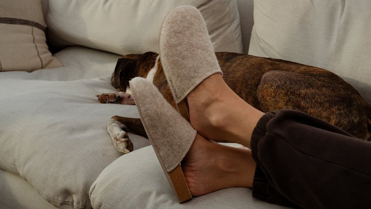 Fulton: beige felt slippers with the Fulton name on the side, worn on a sofa beside a sleeping boxer